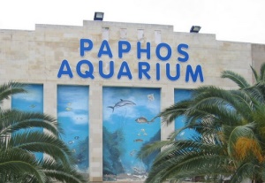 akvarium-pafosa-na-kipre