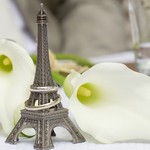 Just married in Paris. Two wedding rings on the miniature Eiffel Tower