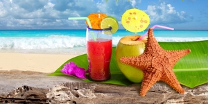 Coconut cocktail starfish tropical beach
