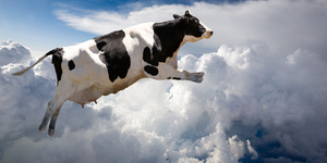 A super cow flying over clouds