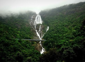 vodopad-dudhsagar-v-indii