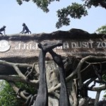 zoopark-dusit-v-tailande