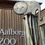 zoopark-v-olborge-daniya