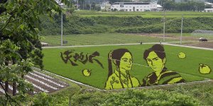 Японская живопись на рисовых полях
