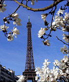 Франция весной - волшебное путешествие!
