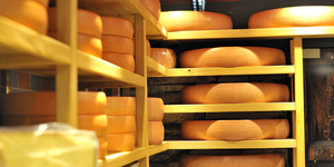 Швейцарский сыр: надежность прежде всего