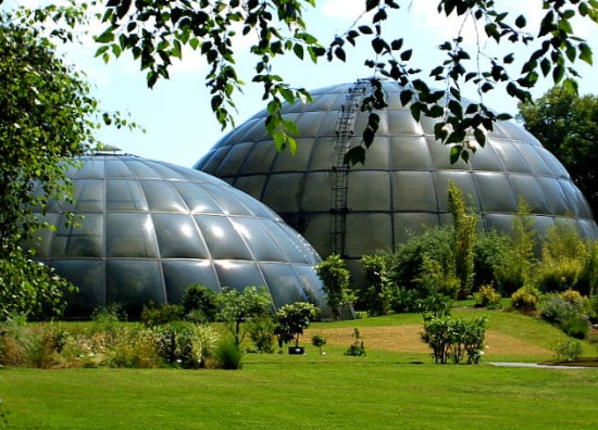 Ботанический сад в Цюрихе
