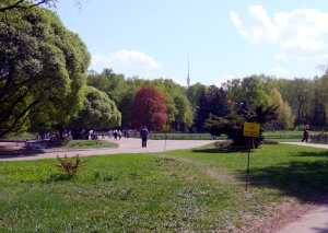 Главный ботанический сад имени Н. В. Цицина