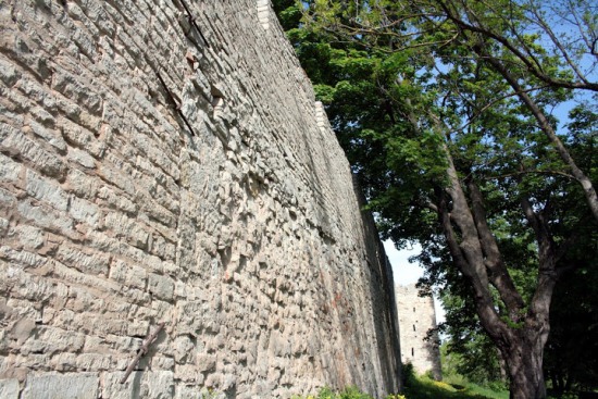 Стена Порховской крепости