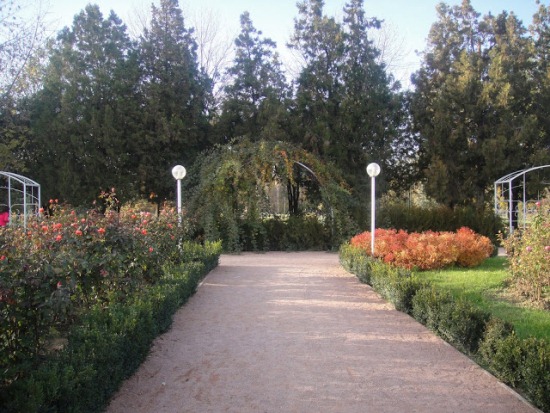 Симферополь - Ботанический сад