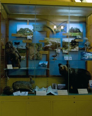 Биологический музей имени К. А. Тимирязева