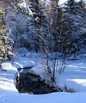 Крюковский лесопарк зимой
