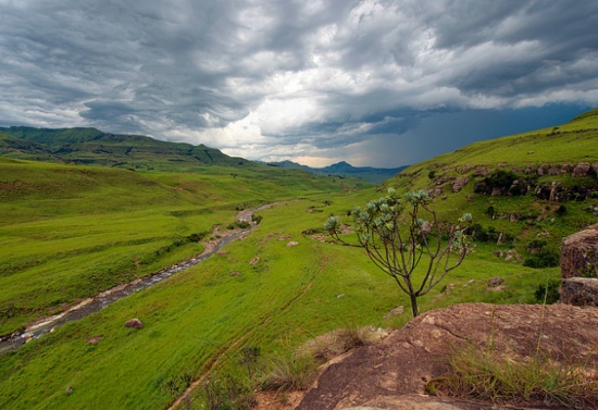 Квазулу-Натал, провинция в ЮАР