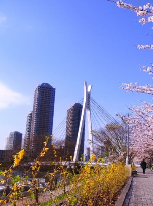Токио весной