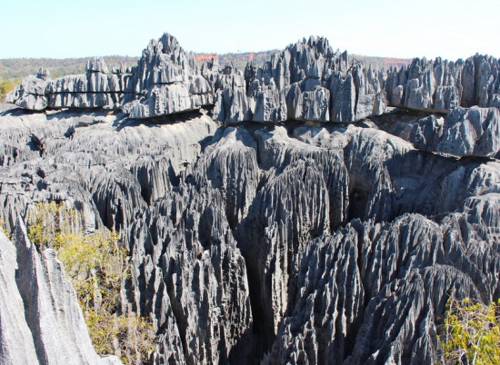Цинги, каменный лес в Мадагаскаре