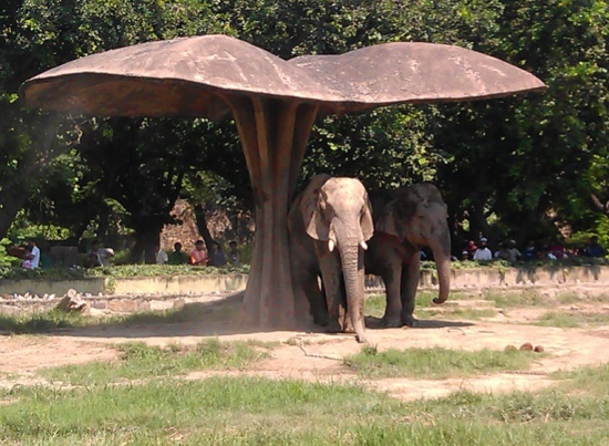 Зоопарк Нью-Дели